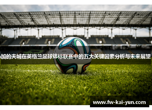 加的夫城在英格兰足球锦标联赛中的五大关键因素分析与未来展望